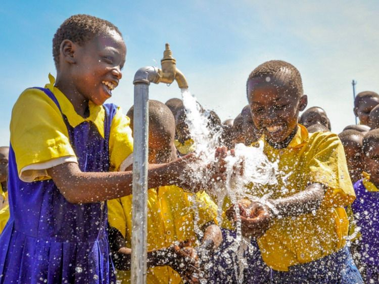 Institutional borehole project
